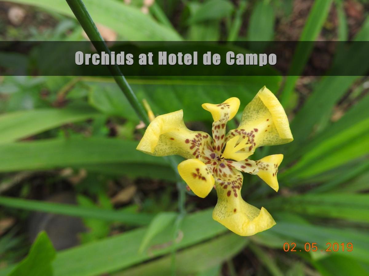 Hotel De Campo Caño Negro מראה חיצוני תמונה