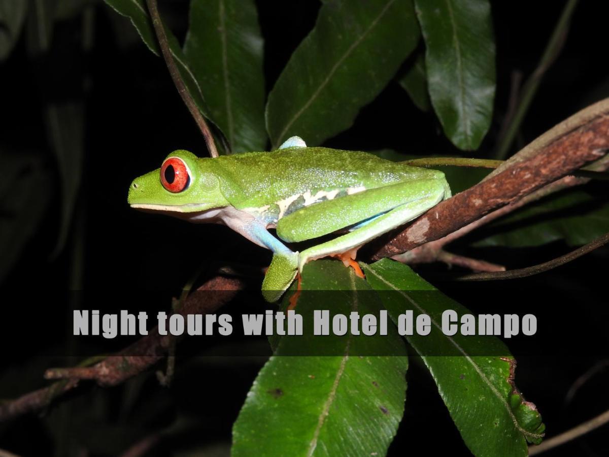 Hotel De Campo Caño Negro מראה חיצוני תמונה